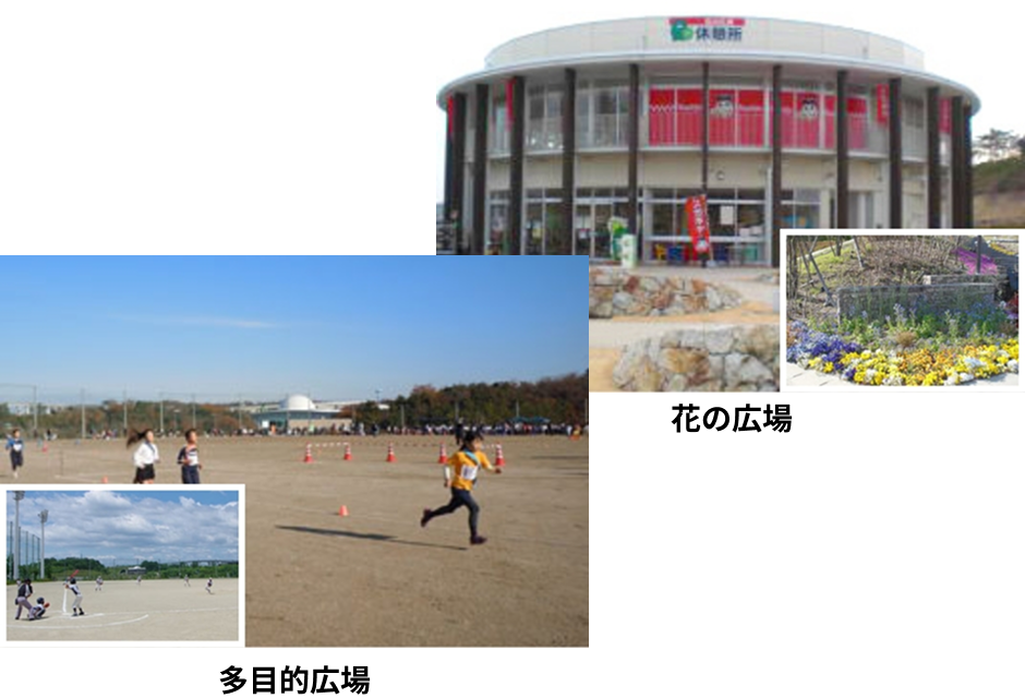 多目的広場 / 花の広場