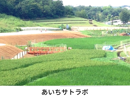 地球市民交流センター