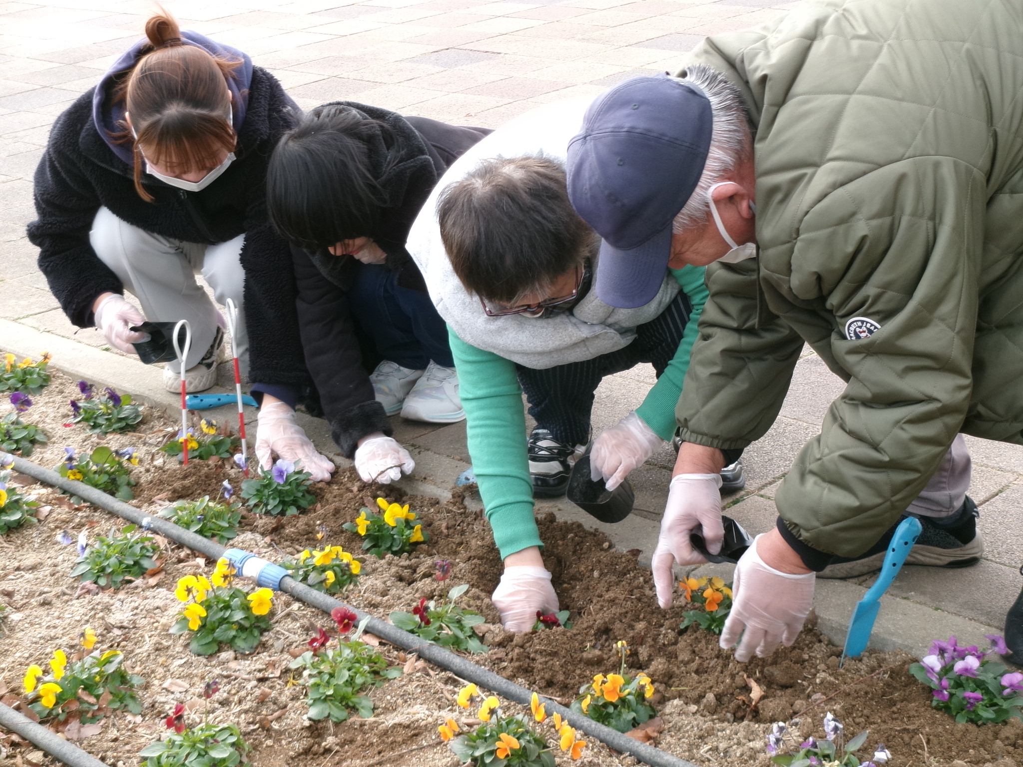 ガイアさんボランティア活動 - おでかけナビ・名古屋と愛知の公園で