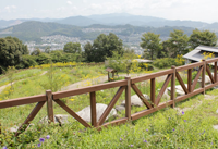 三河山野草園