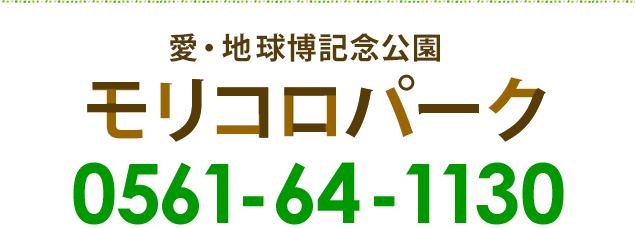 おでかけナビ公園であそぼう