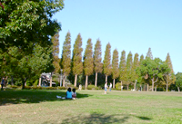 芝生広場（東園）