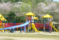 芝生広場の遊具（本園）