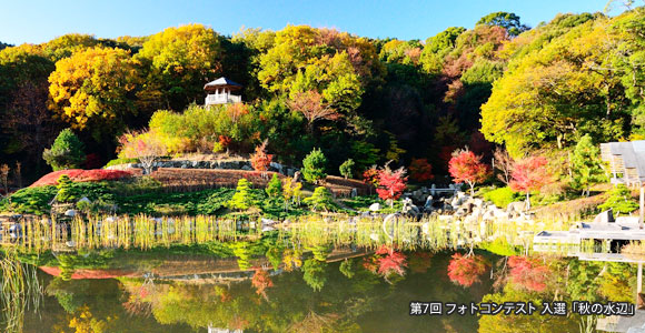 東三河ふるさと公園 東三河ふるさと公園