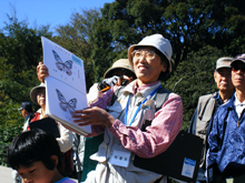 kansatukai2