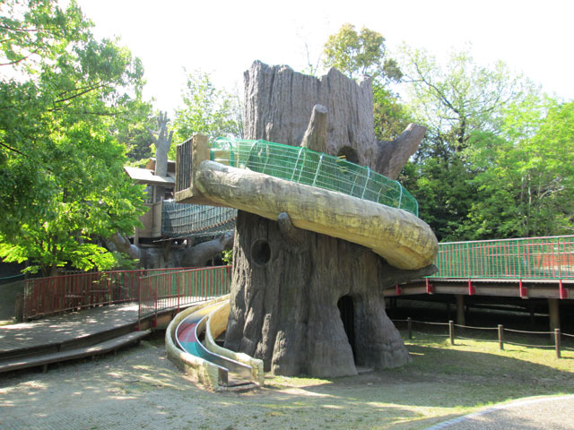 kodomonomori_treehouse