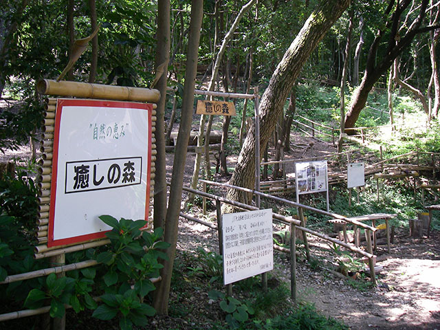 odaka-iyasinomori
