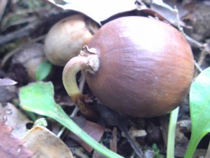 DSC00324