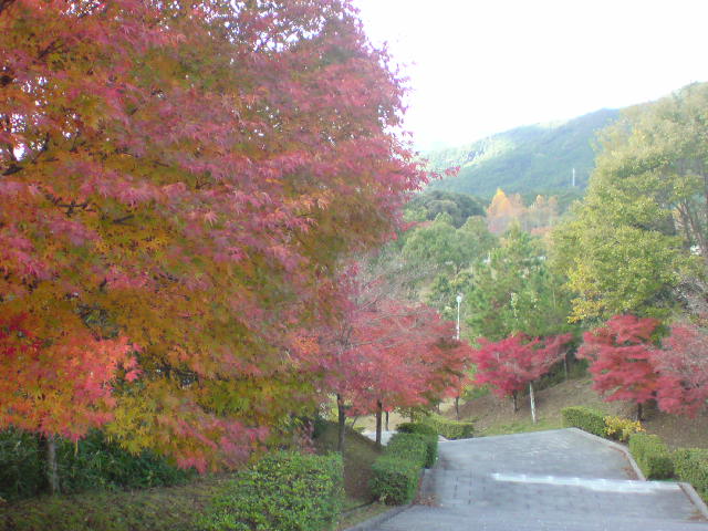 DSC00328
