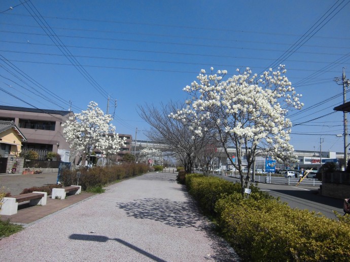 CIMG0002