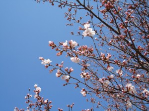 DSC01090