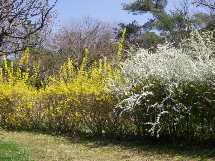 IMGP5742