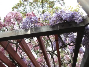 IMG_3322