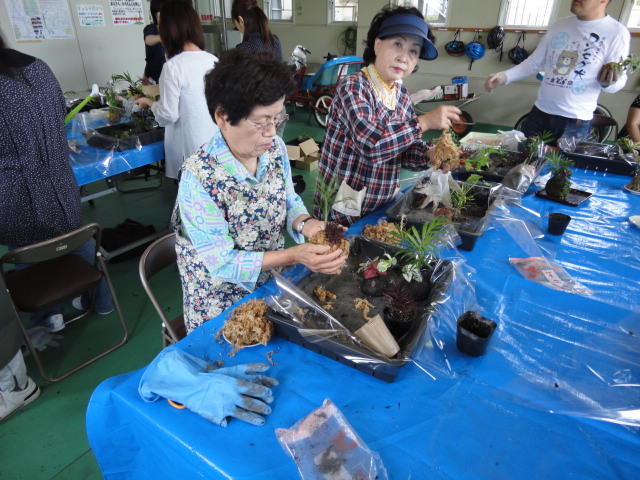 DSC01310