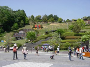 IMGP3248