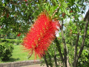IMG_0743