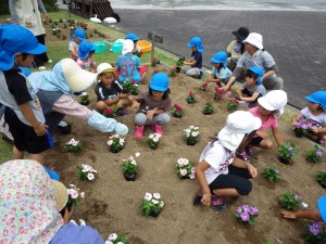 IMGP0429