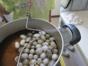 IMG_4008