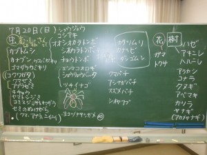 DSCF2470