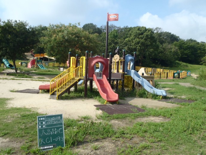 P8050008