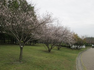 IMG_2290
