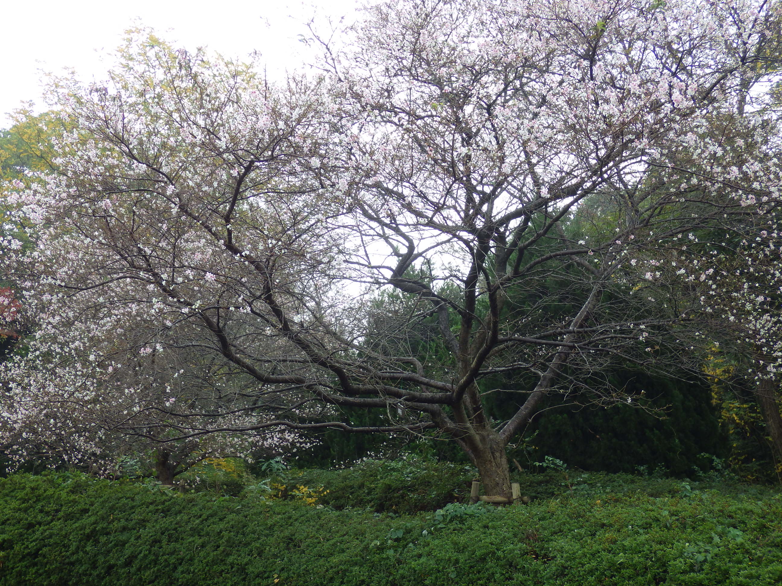 IMGP0302