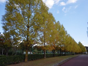 IMGP1632