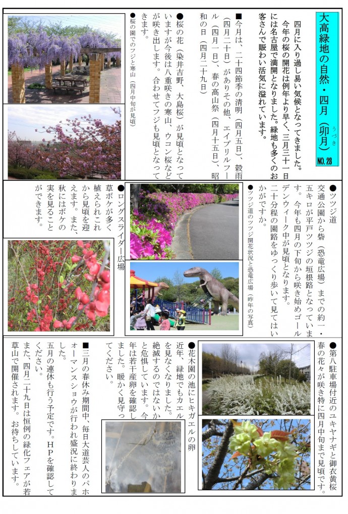 大高緑地の自然・２７年４月jpeg