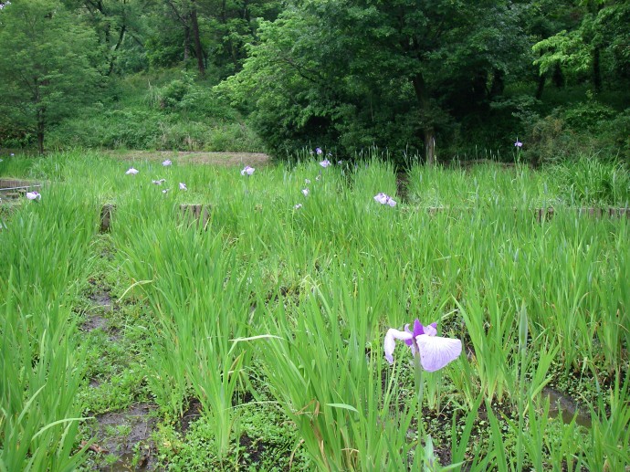 IMGP0028