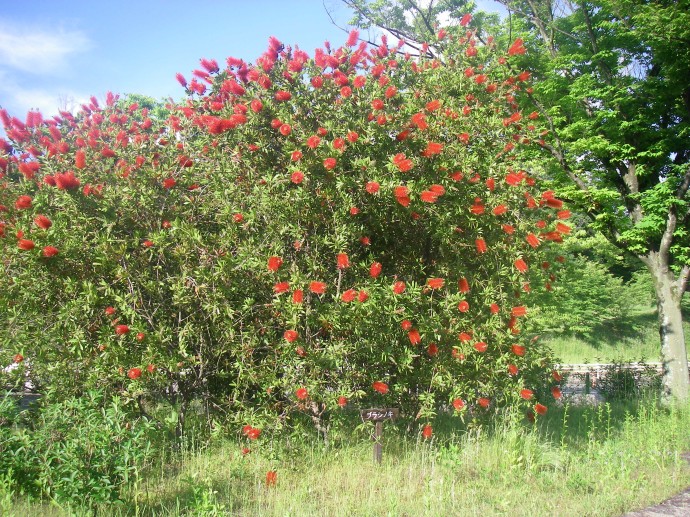 IMGP0046