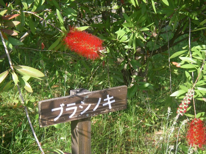 IMGP0050