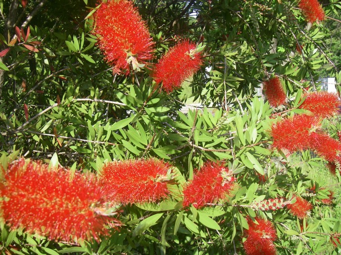 IMGP0054