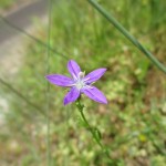 IMG_2636