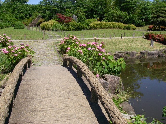 花しょうぶ おでかけナビ 名古屋と愛知の公園であそぼう