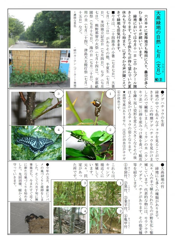 大高緑地の自然・２７年７月jpg