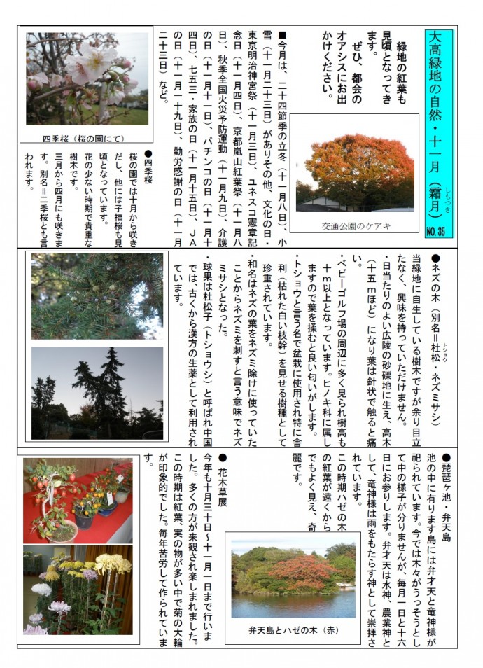 大高緑地の自然・２７年１１月jpeg