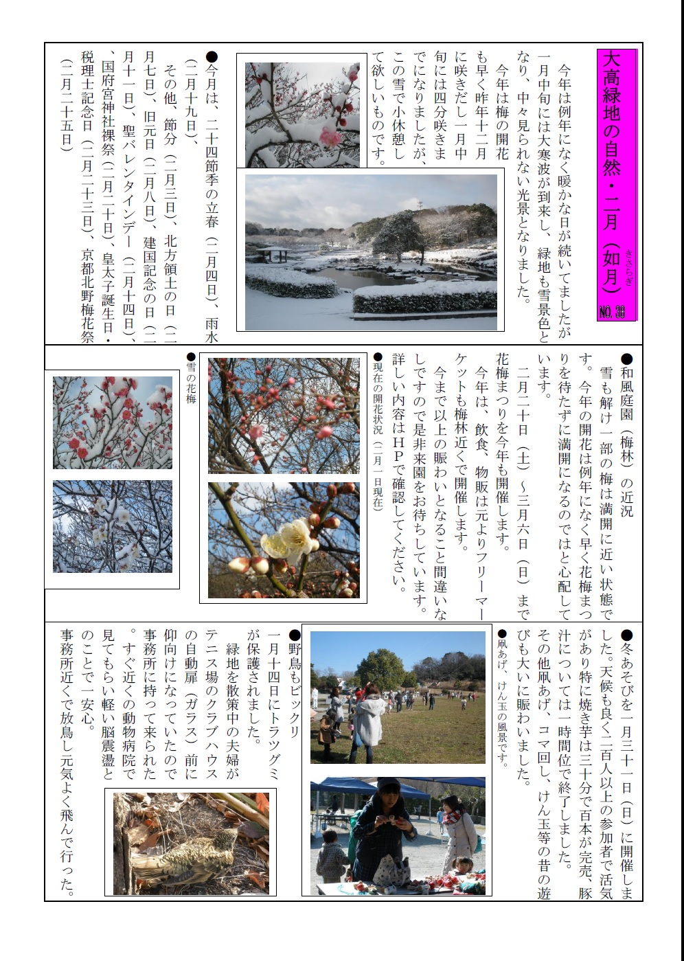 大高緑地の自然・２８年２月jpeg