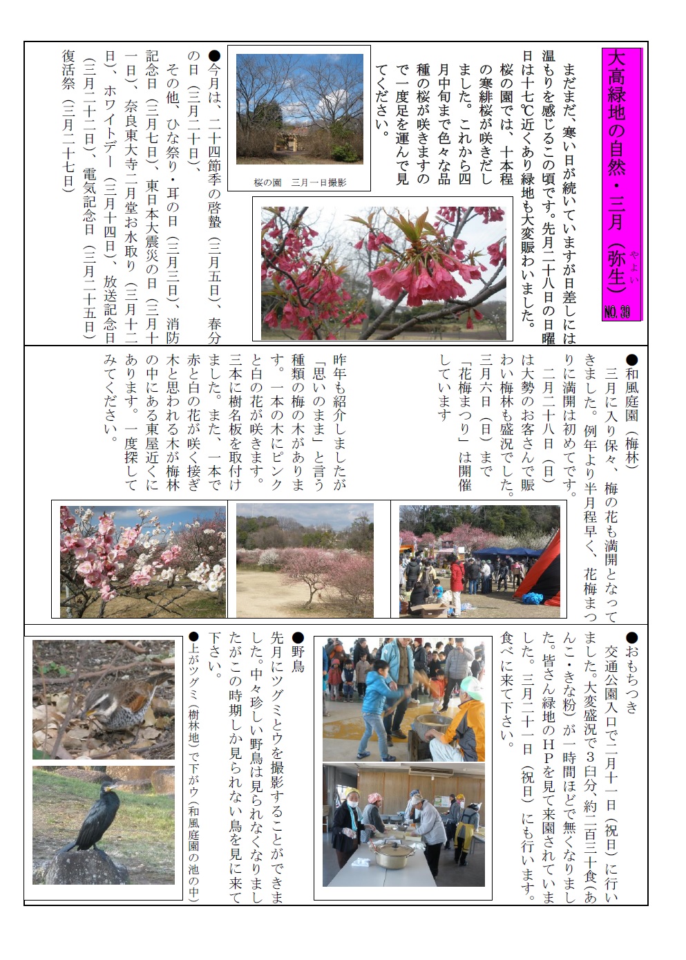 大高緑地の自然・２８年３月jpeg