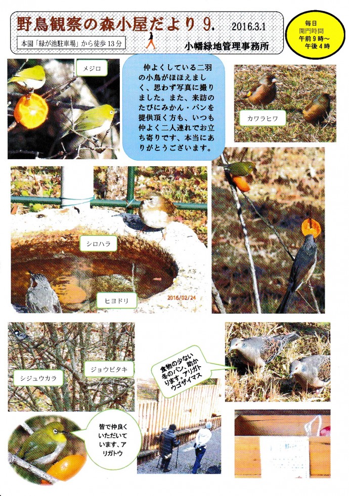 野鳥観察の森小屋だより№９