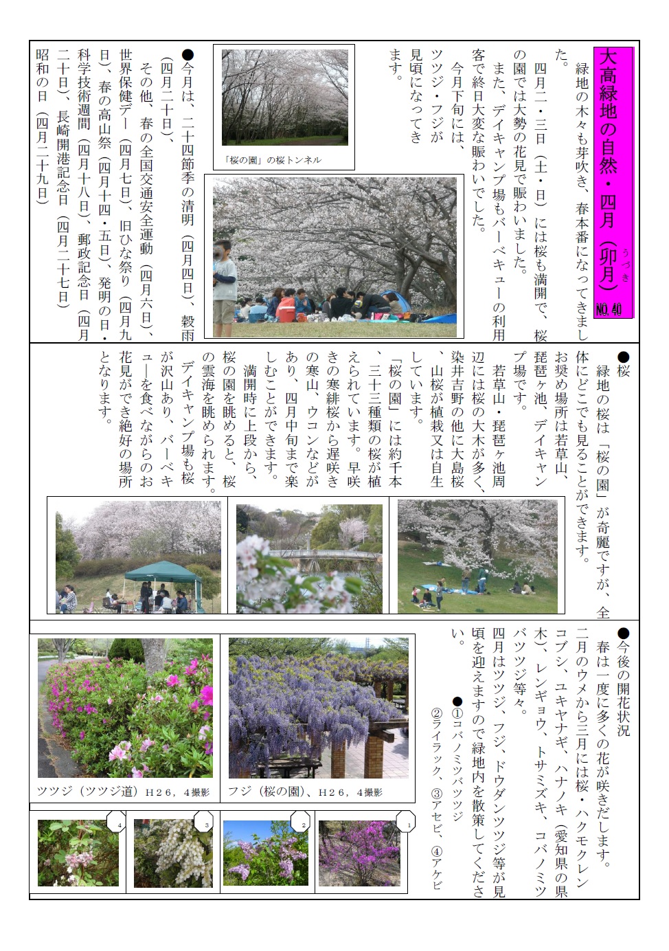 大高緑地の自然・２８年４月jpeg