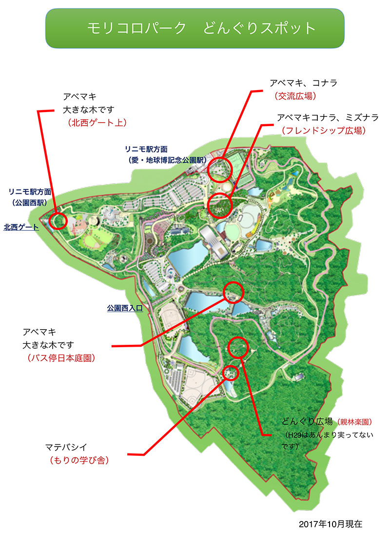 愛・地球博記念公園（モリコロパーク）どんぐり拾いマップ