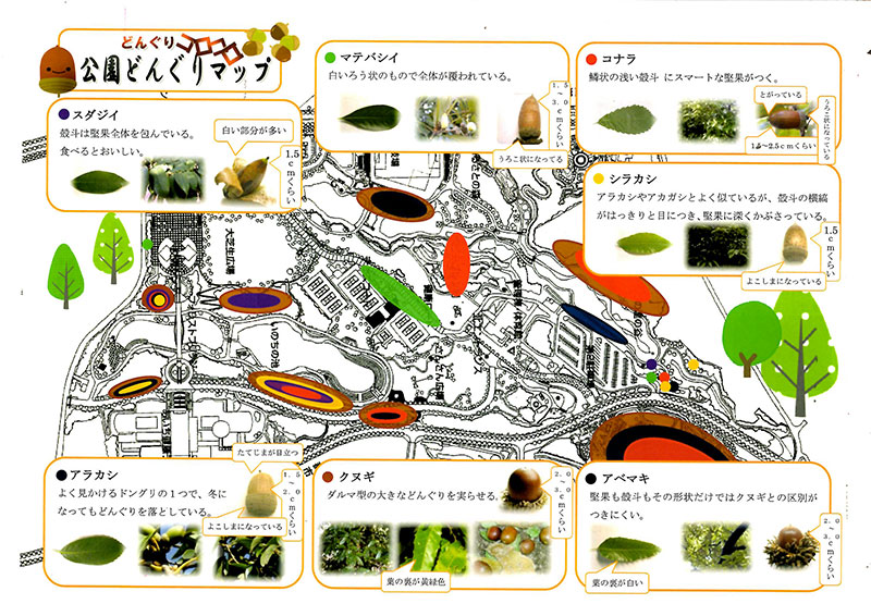 あいち健康の森公園どんぐり拾いマップ