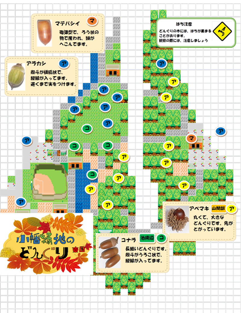 小幡緑地どんぐり拾いマップ東園