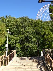 愛・地球博記念公園（モリコロパーク）どんぐり