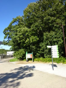 愛・地球博記念公園(モリコロパーク)どんぐり