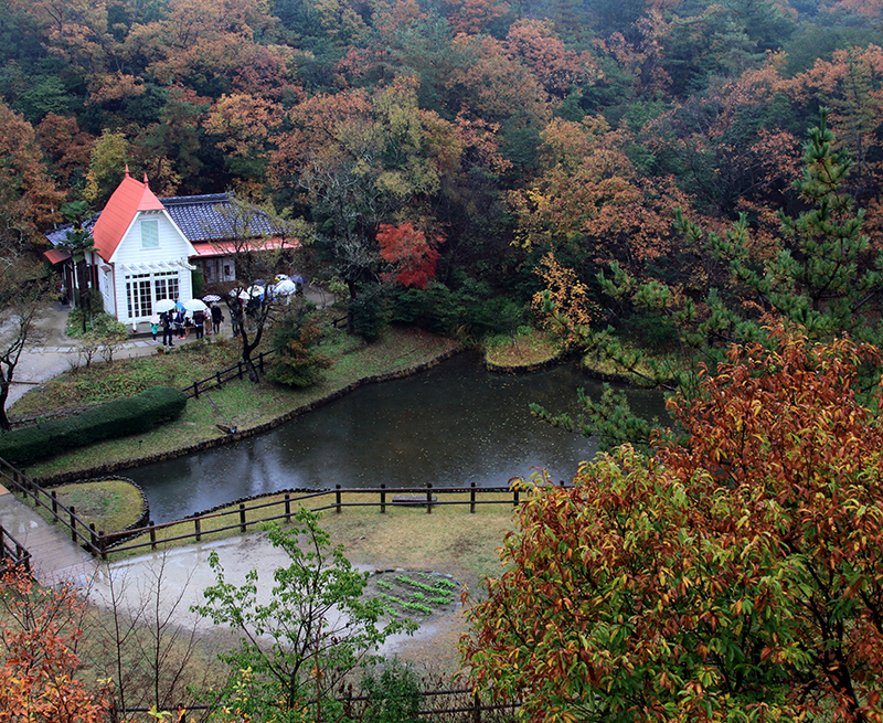 第11回 ふれあい百景フォトコンテスト愛・地球博記念公園 福花園種苗賞『サツキとメイの秋景色』