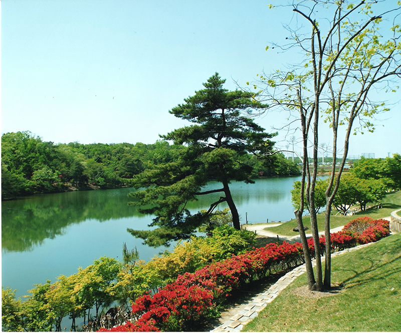 第11回 ふれあい百景フォトコンテスト愛・地球博記念公園 入選『水辺の春』