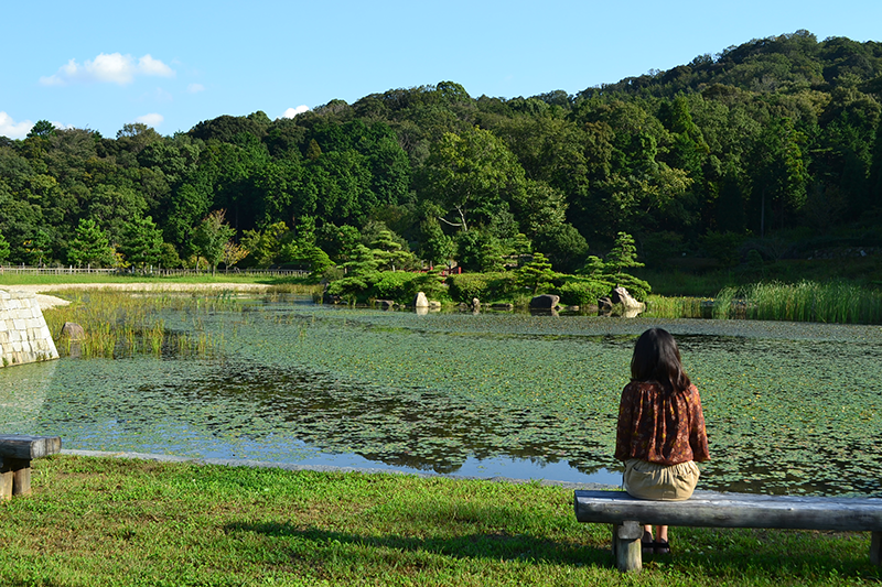 第11回 ふれあい百景フォトコンテスト東三河ふるさと公園 スマホ部門入選『緑に”ほっ”とする』