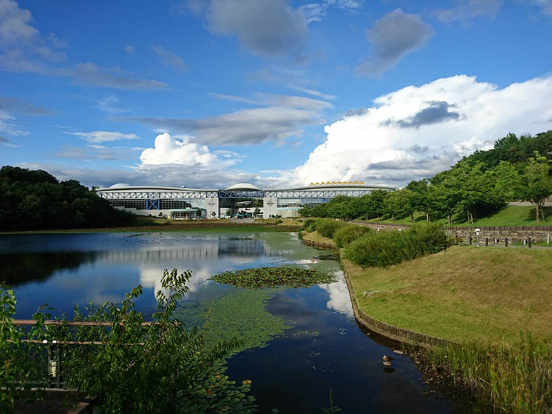 第11回 ふれあい百景フォトコンテスト愛・地球博記念公園 スマホ部門入選『こいの池、鏡の池』