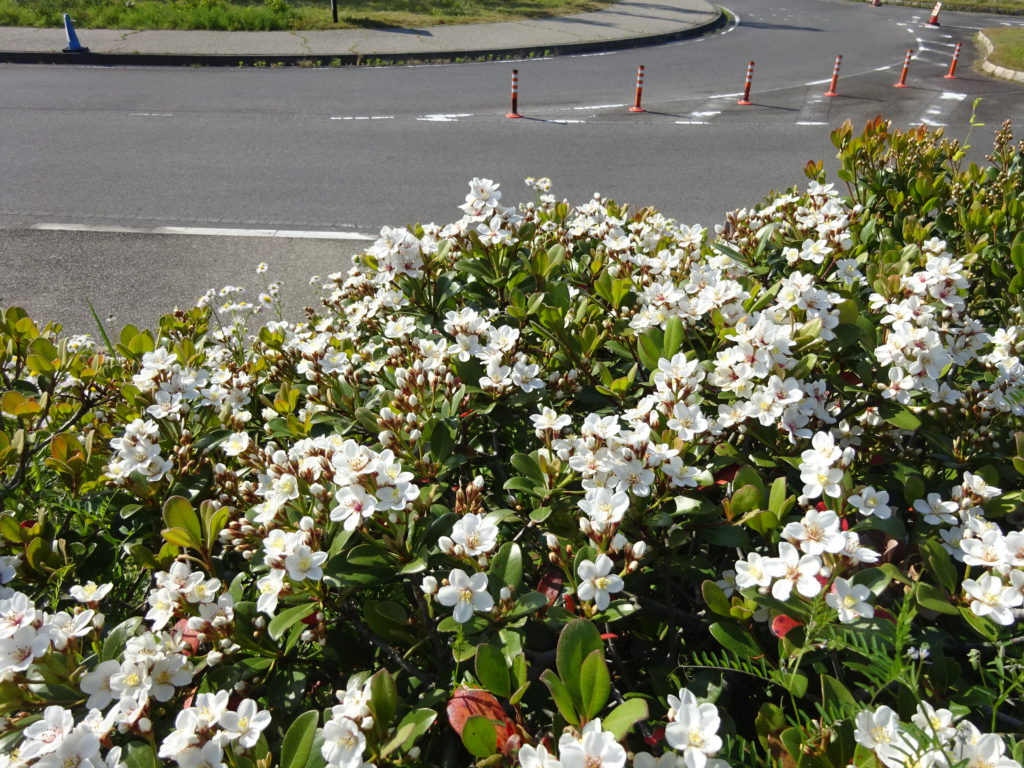 シャリンバイ おでかけナビ 名古屋と愛知の公園であそぼう